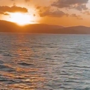 Meet your Posher, Ania